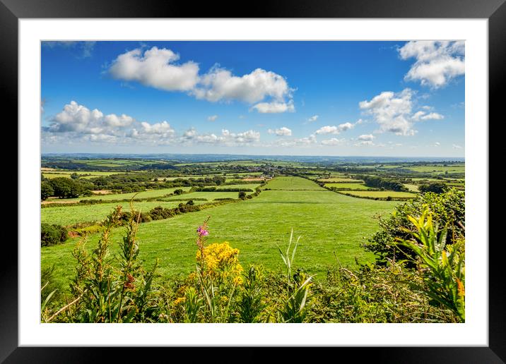 Preseli Mountains, Pembrokeshire, Wales, UK Framed Mounted Print by Mark Llewellyn