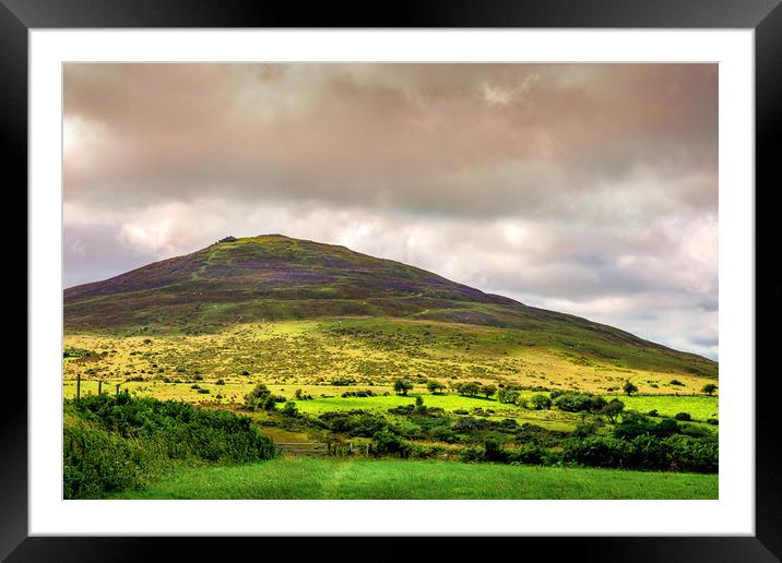 Preseli Mountains, Pembrokeshire, Wales, UK Framed Mounted Print by Mark Llewellyn