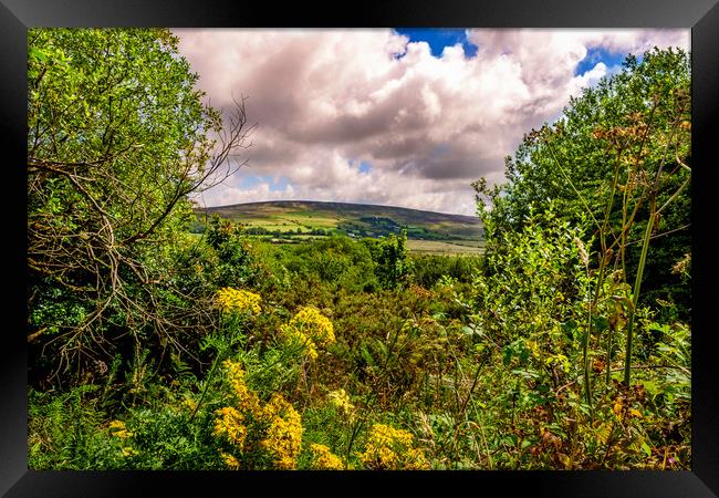 Preseli Mountains, Pembrokeshire, Wales, UK Framed Print by Mark Llewellyn