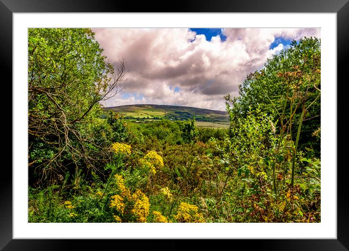 Preseli Mountains, Pembrokeshire, Wales, UK Framed Mounted Print by Mark Llewellyn