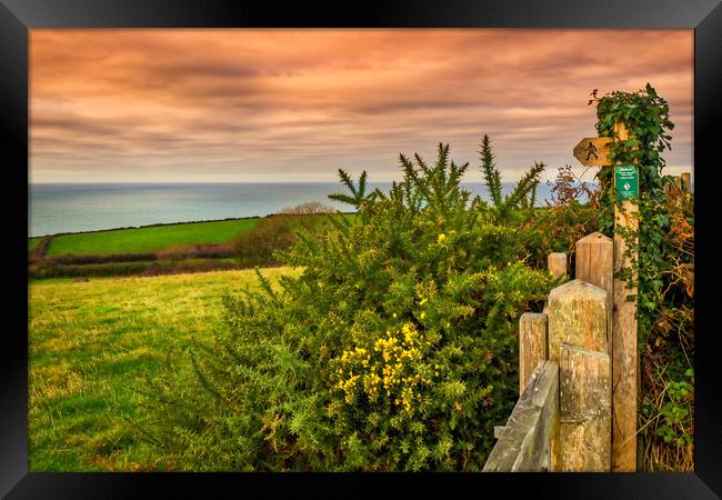 Ceibwr Footpath, Pembrokeshire, Wales, UK Framed Print by Mark Llewellyn