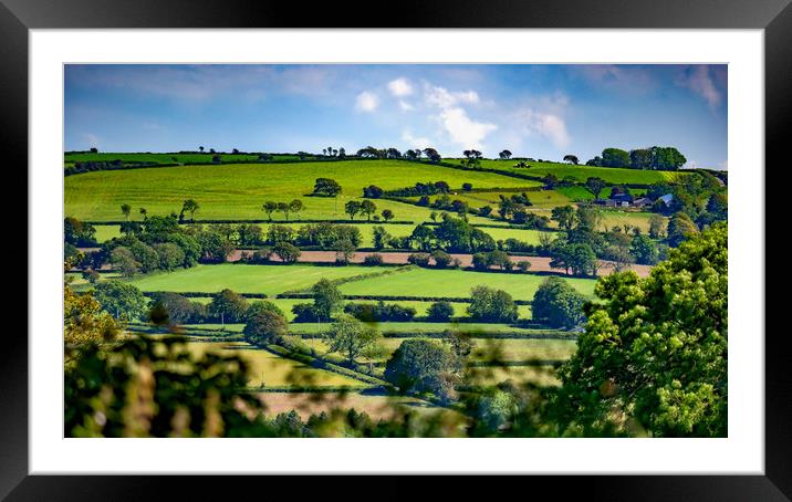 Summer Fields, Pembrokeshire, Wales, UK Framed Mounted Print by Mark Llewellyn