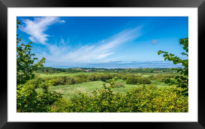 Cardigan Marshes, Pembrokeshire, Wales, UK Framed Mounted Print by Mark Llewellyn