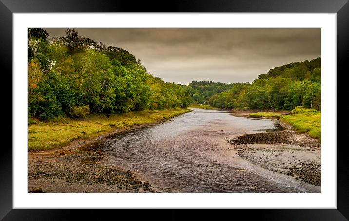 Bear River, Nova Scotia, Canada Framed Mounted Print by Mark Llewellyn