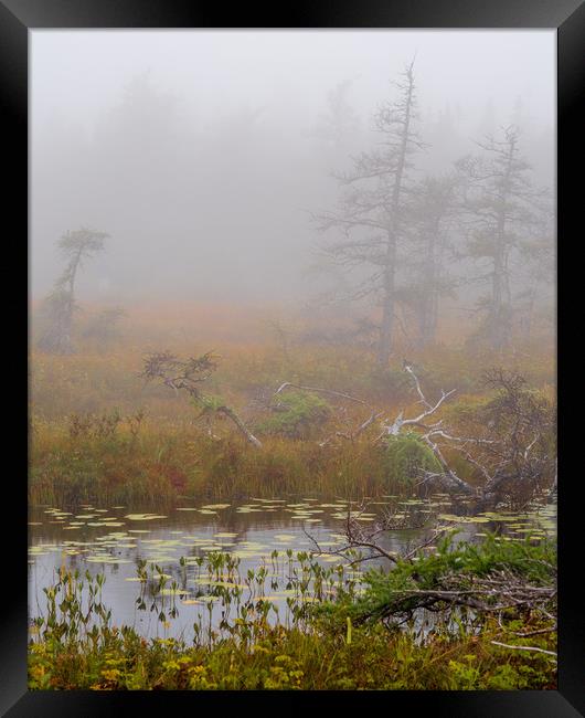 Cabot Trail Fog, Cape Breton, Canada Framed Print by Mark Llewellyn