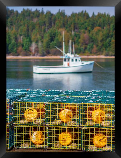 Lobster Pots, Guysborough, Nova Scotia, Canada Framed Print by Mark Llewellyn