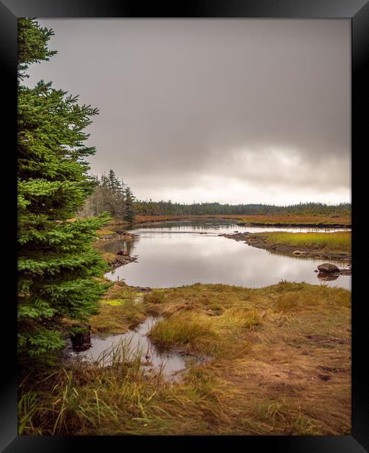 Marshes, Guysborough, Nova Scotia, Canada Framed Print by Mark Llewellyn