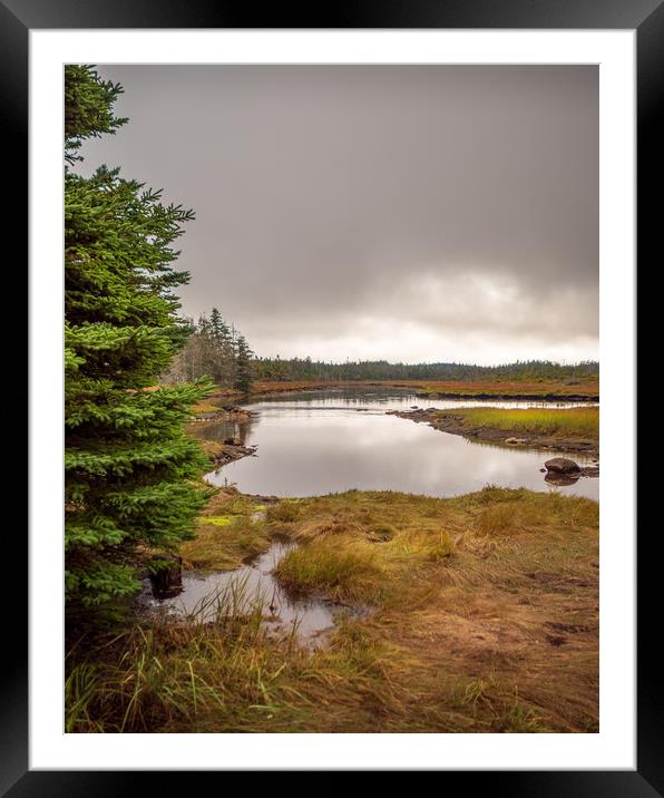 Marshes, Guysborough, Nova Scotia, Canada Framed Mounted Print by Mark Llewellyn