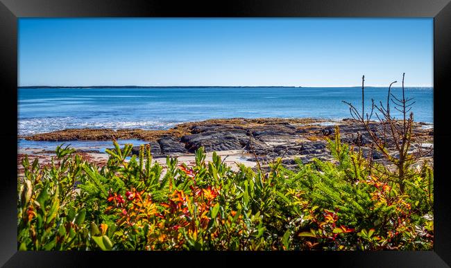 Crescent Beach, Nova Scotia, Canada Framed Print by Mark Llewellyn