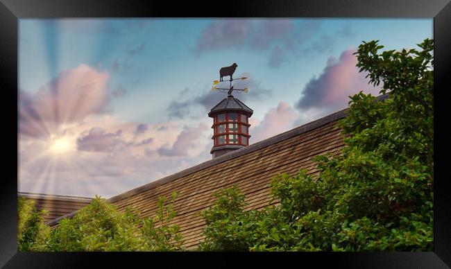 Sheep Weathervane, UK Framed Print by Mark Llewellyn