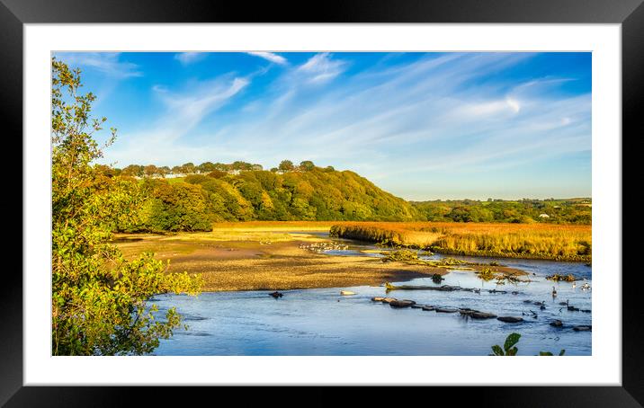 Newport Marshes, Pembrokeshire, Wales, UK Framed Mounted Print by Mark Llewellyn