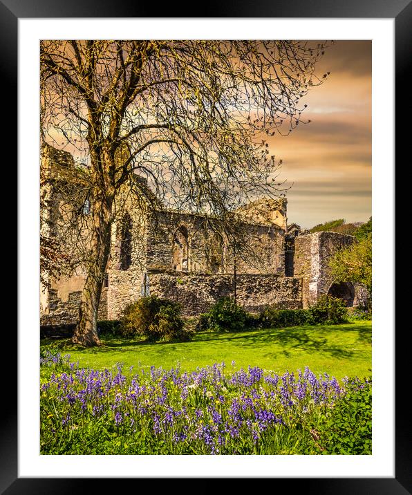 St Davids Abbey, Pembrokeshire, Wales, UK Framed Mounted Print by Mark Llewellyn