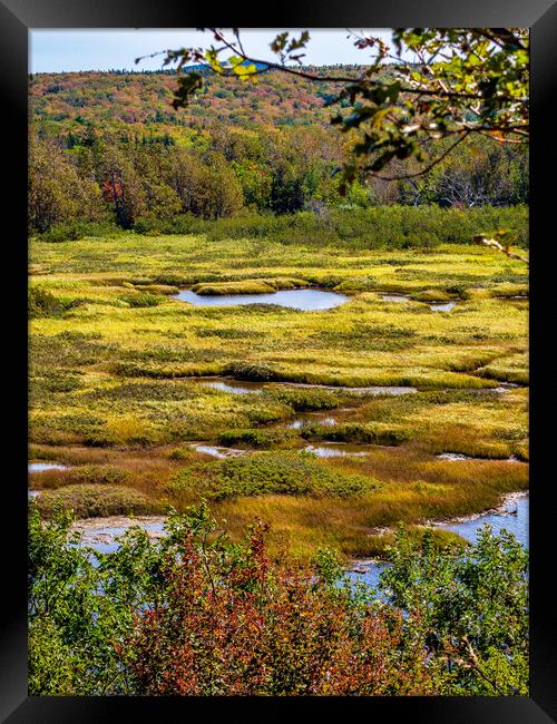 Aspy Bay, Cape Breton, Canada Framed Print by Mark Llewellyn