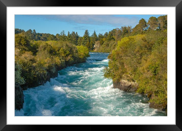 River Ice Flower, New Zealand Framed Mounted Print by Mark Llewellyn