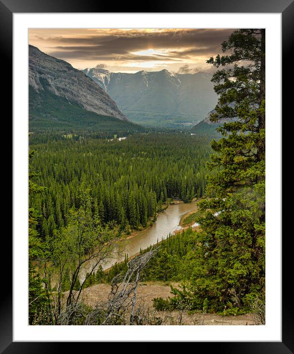 Quiet River, Alberta, Canada Framed Mounted Print by Mark Llewellyn