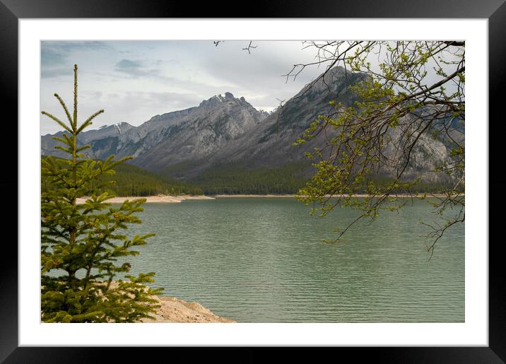 Lake Minnewanka, Canada Framed Mounted Print by Mark Llewellyn