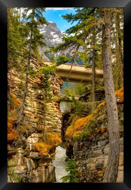 Mossy Gorge, Jasper, Canada Framed Print by Mark Llewellyn