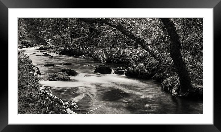 Down by the waters edge Framed Mounted Print by Simon West