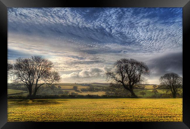 Pembrokeshire Countryside Framed Print by Simon West