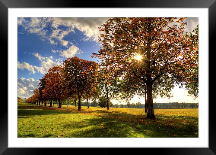 Windsor Park Autumn Trees Framed Mounted Print by Simon West