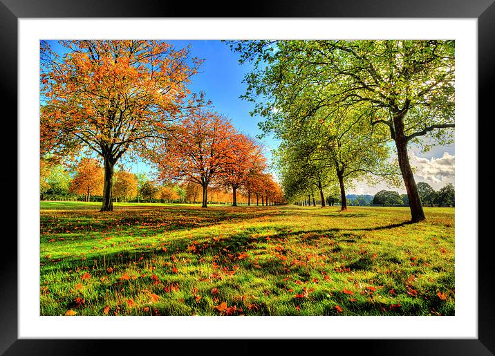 Windsor Autumn Trees Framed Mounted Print by Simon West