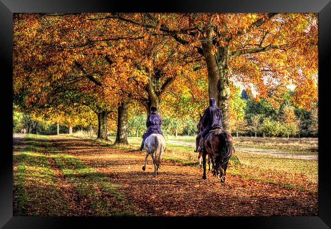 Windsor Park Autumn Horses Framed Print by Simon West