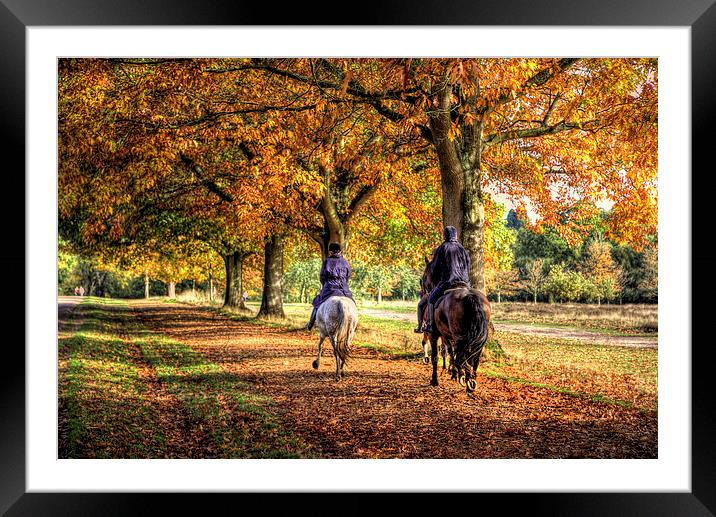 Windsor Park Autumn Horses Framed Mounted Print by Simon West