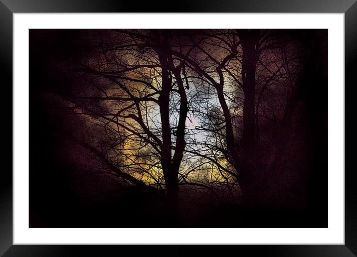 The moon through the trees Framed Mounted Print by Simon West