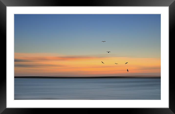 Summer Breeze Framed Mounted Print by nick woodrow