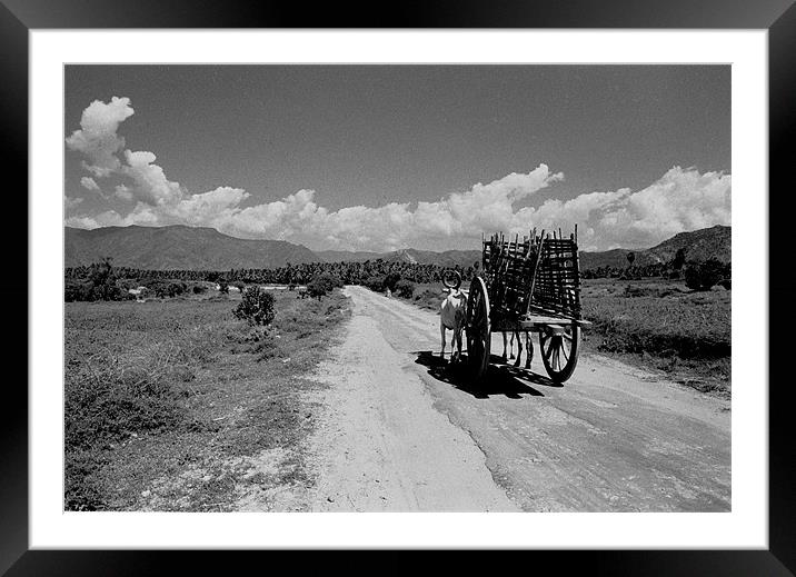 The Road To The Palani Hills India Framed Mounted Print by Peter Spenceley