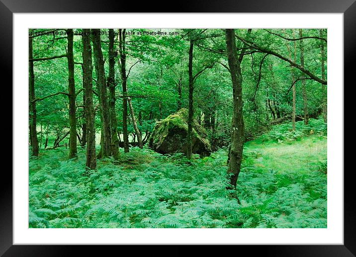 Its not easy being green Framed Mounted Print by David Eckersley