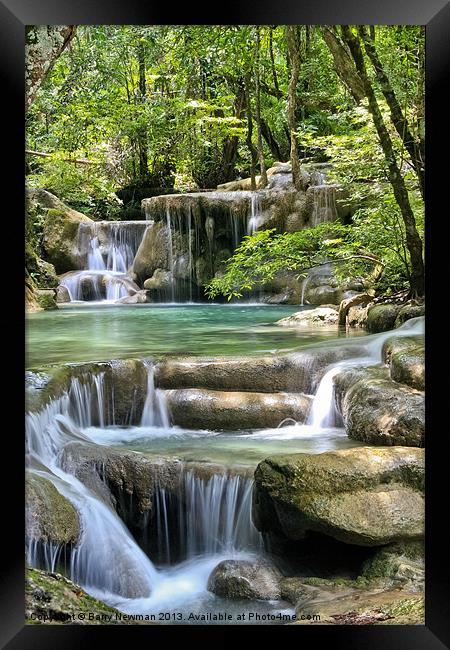 Jungle Falls Framed Print by Barry Newman