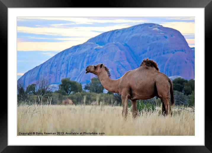 Camel Rock Framed Mounted Print by Barry Newman
