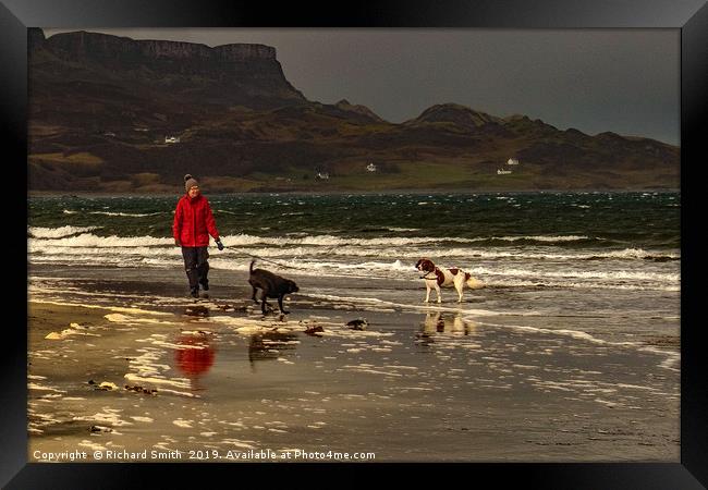 Dog walking on the beach 'an Corran' at Staffin Framed Print by Richard Smith
