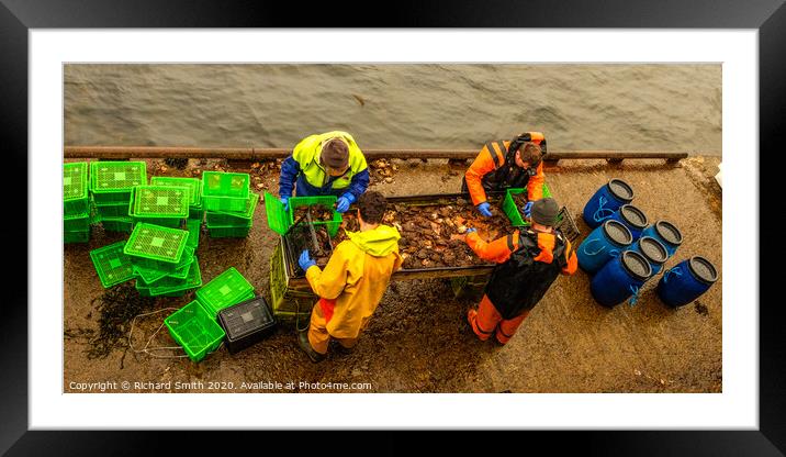 Fishermen at work #9 Framed Mounted Print by Richard Smith