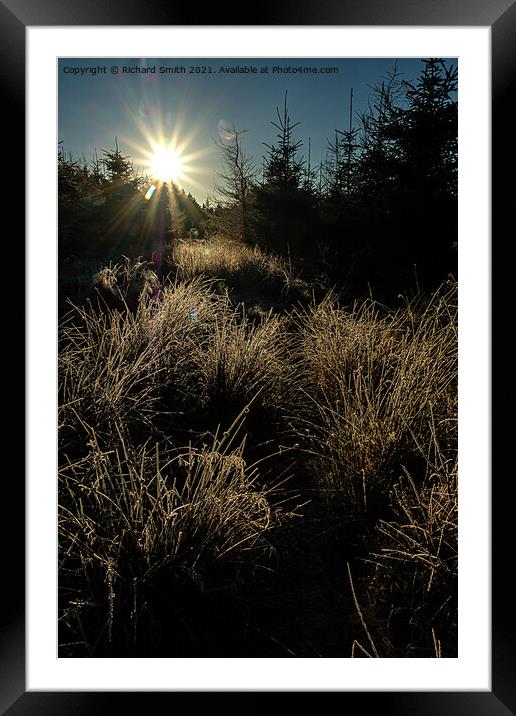 walking into the sunlight on a forest pathway Framed Mounted Print by Richard Smith