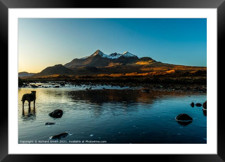 Like myself my dog appreciates the view and the sunrises. Framed Mounted Print by Richard Smith