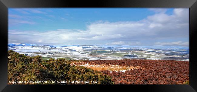 From Brimmond Hill 2 Framed Print by Vicky Mitchell