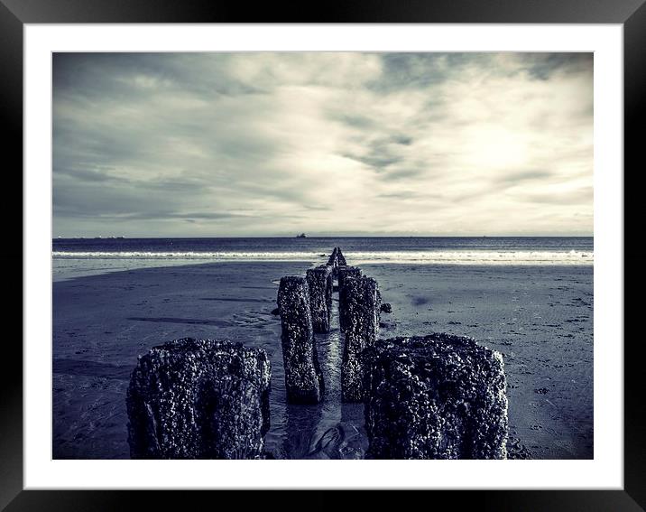 Groynes at Aberdeen Beach Framed Mounted Print by Vicky Mitchell