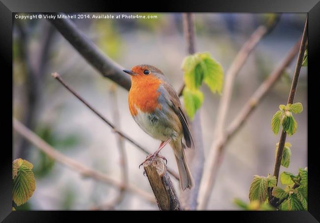  A bird in the Bush Framed Print by Vicky Mitchell