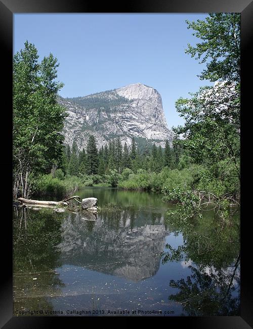 Reflection on  Mirror Lake Yosemite Framed Print by Victoria  Callaghan