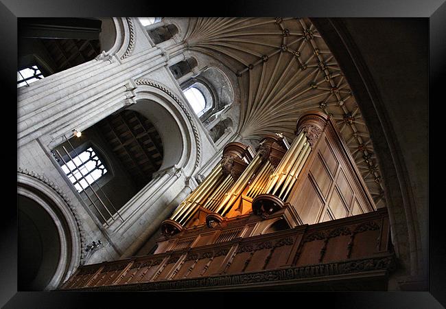 The Organ Pipes Of Norwich Carhedral Framed Print by Mark Lee