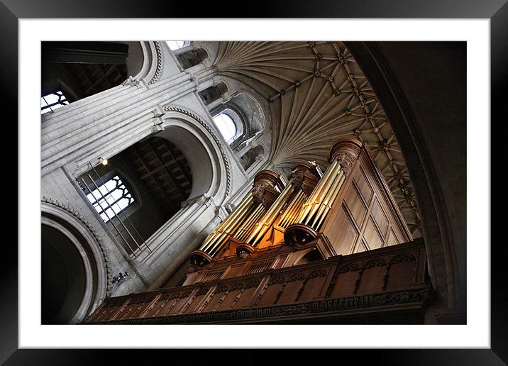 The Organ Pipes Of Norwich Carhedral Framed Mounted Print by Mark Lee