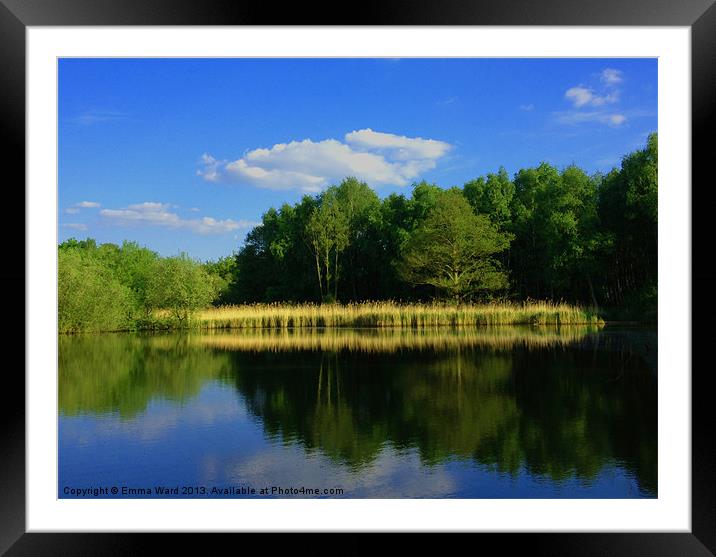 ponds collection 7 Framed Mounted Print by Emma Ward