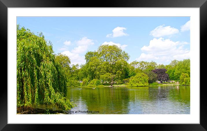 Pond Collection 12 Framed Mounted Print by Emma Ward