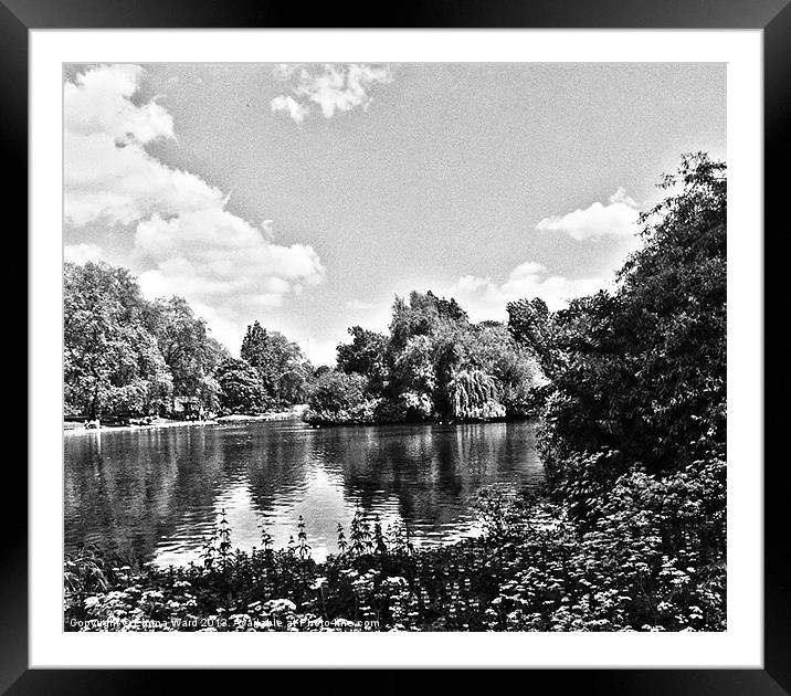 Pond Collection 20 Framed Mounted Print by Emma Ward