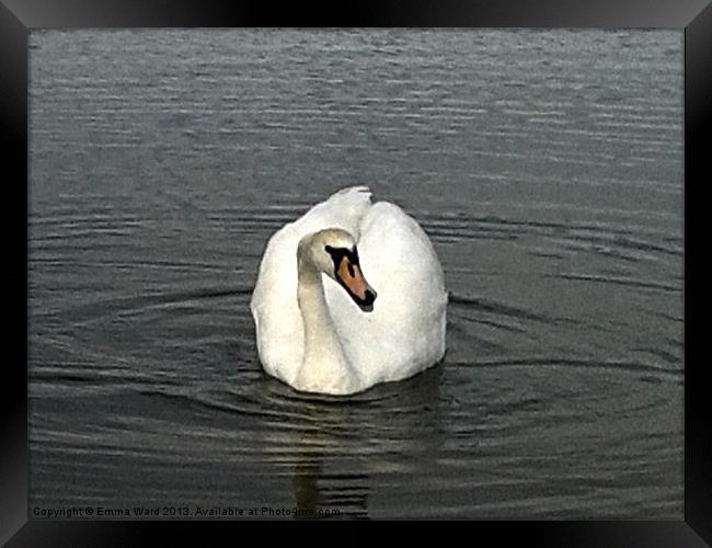 swan lake 2 Framed Print by Emma Ward
