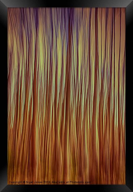Forest Fire Framed Print by Nigel Jones