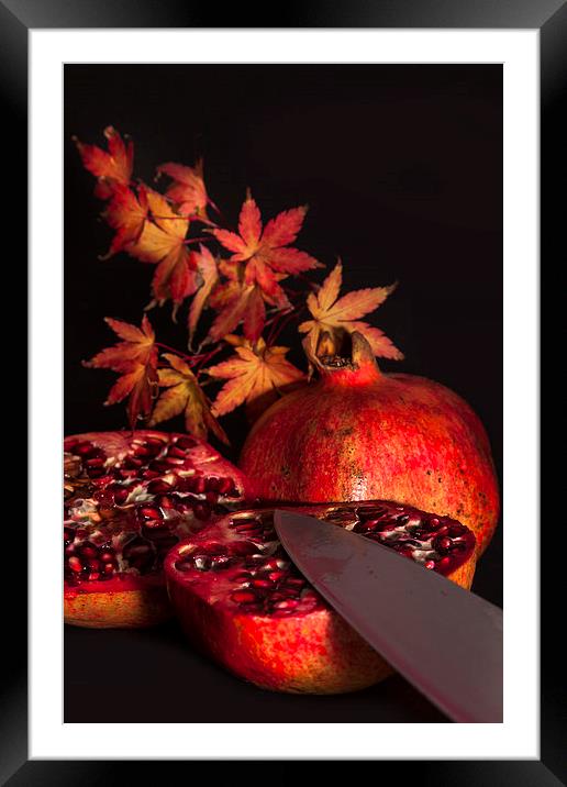 Autumns Bounty Framed Mounted Print by Nigel Jones