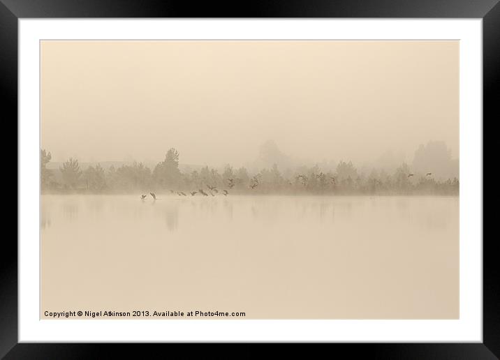 Misty Arrival Framed Mounted Print by Nigel Atkinson